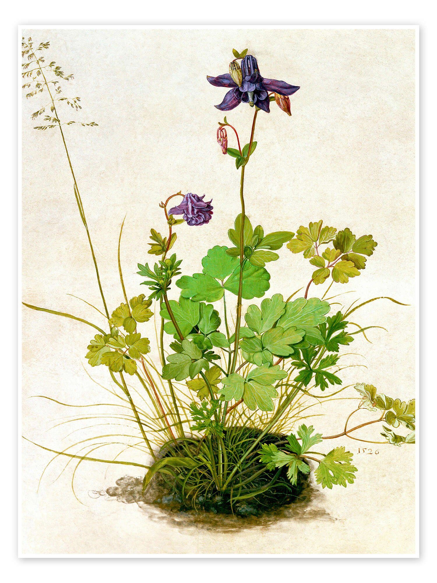 Poster Albrecht Dürer