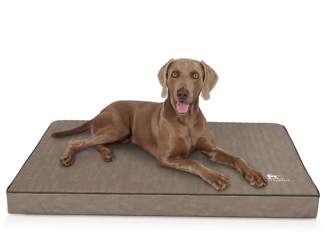 Knuffelwuff Hundematte Palomino, Orthopädisch