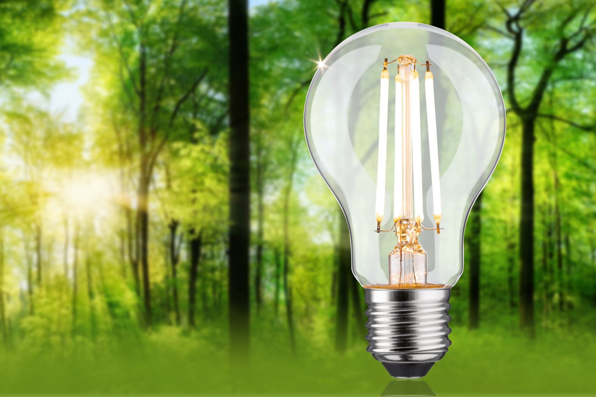 Paulmann LED-Leuchtmittel Eco-Line Filament 230V LED Birne E27 1521lm 8,2W 3000K dimmbar Klar, E27, 1 St., Warmweiß