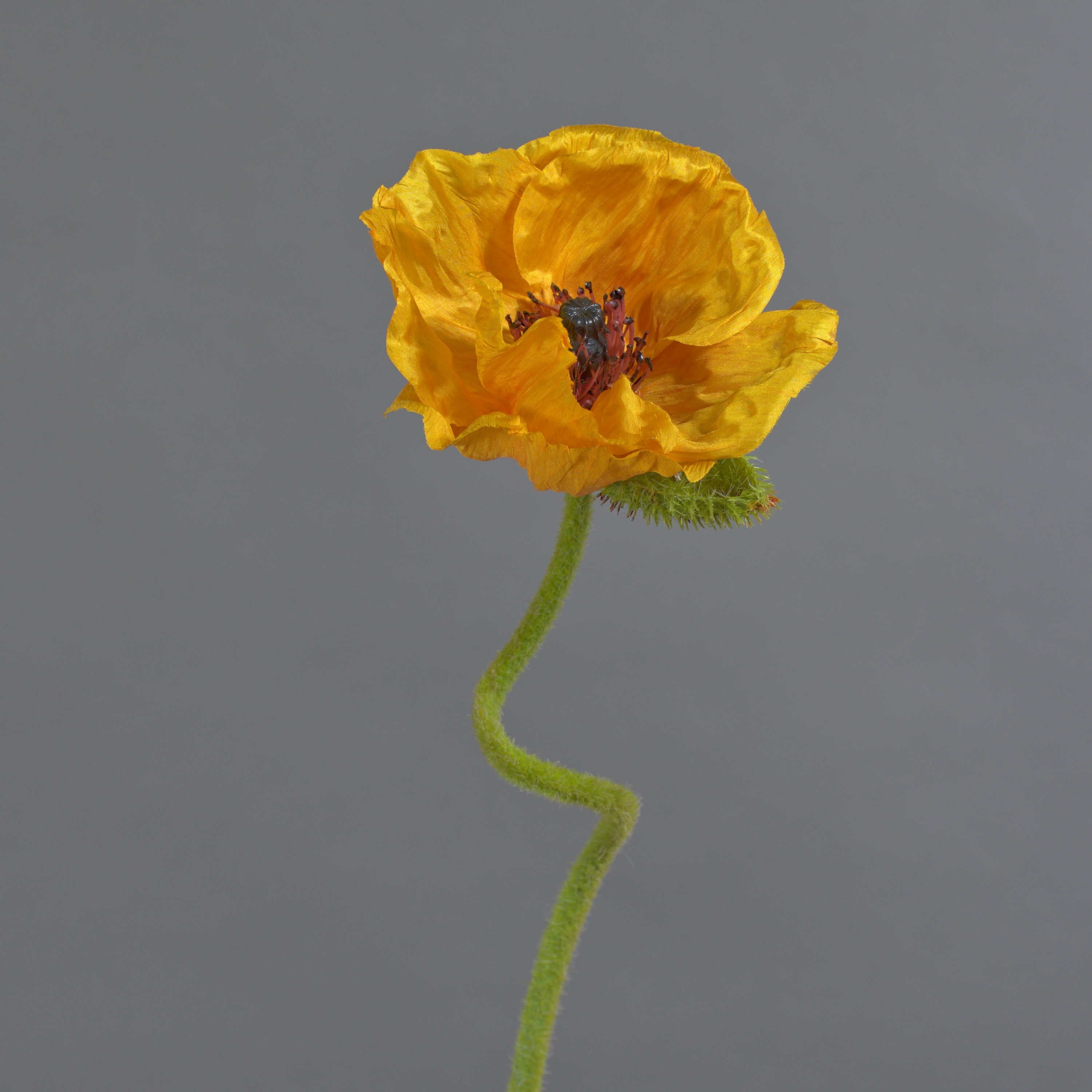 Kunstblume Mohnblume ANKANG, orange-gelb, 70 cm Mohnblume, artplants, Höhe 70.0 cm