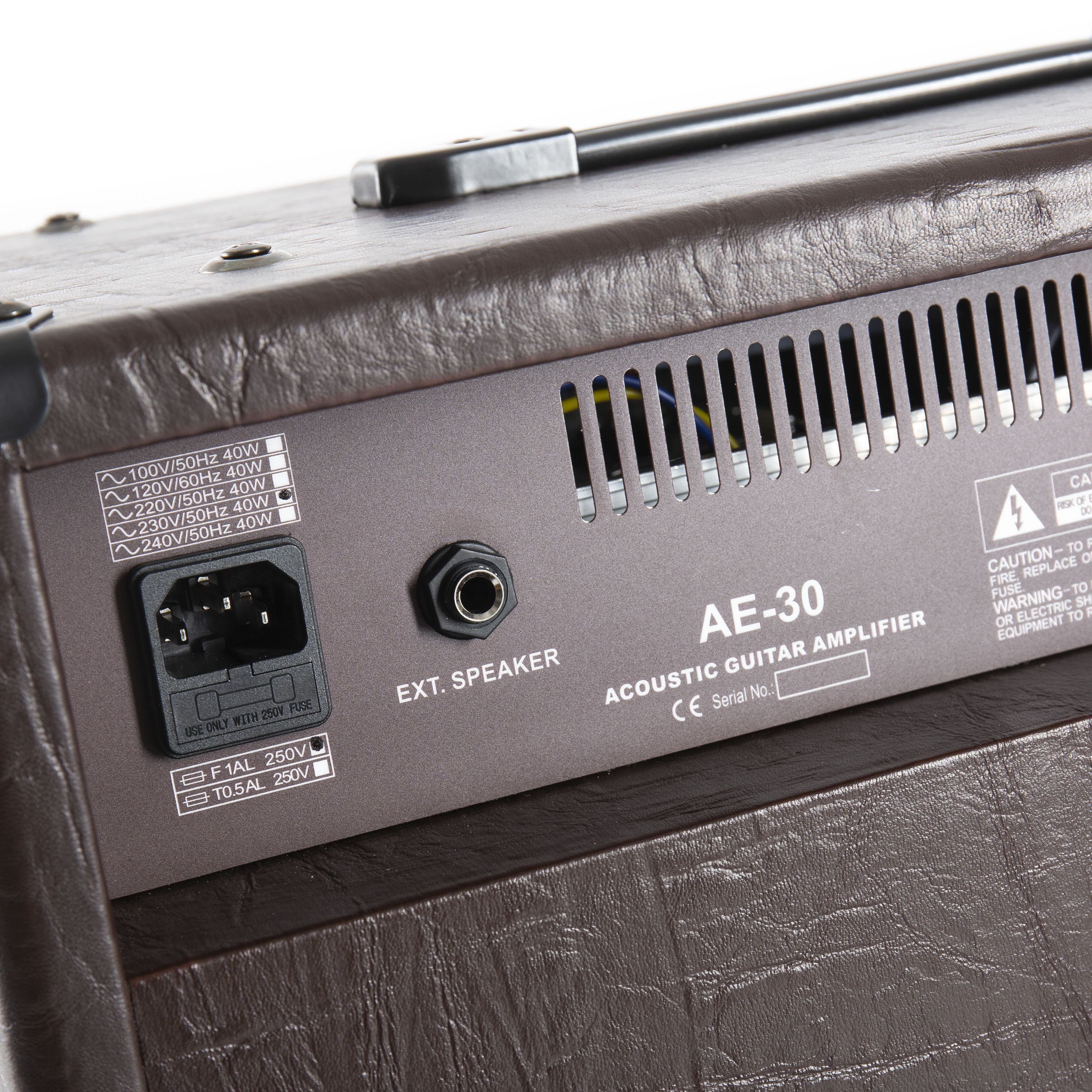 FAME Verstärker (AE-30, Akustikgitarren Verstärker, Singer-Songwriter)