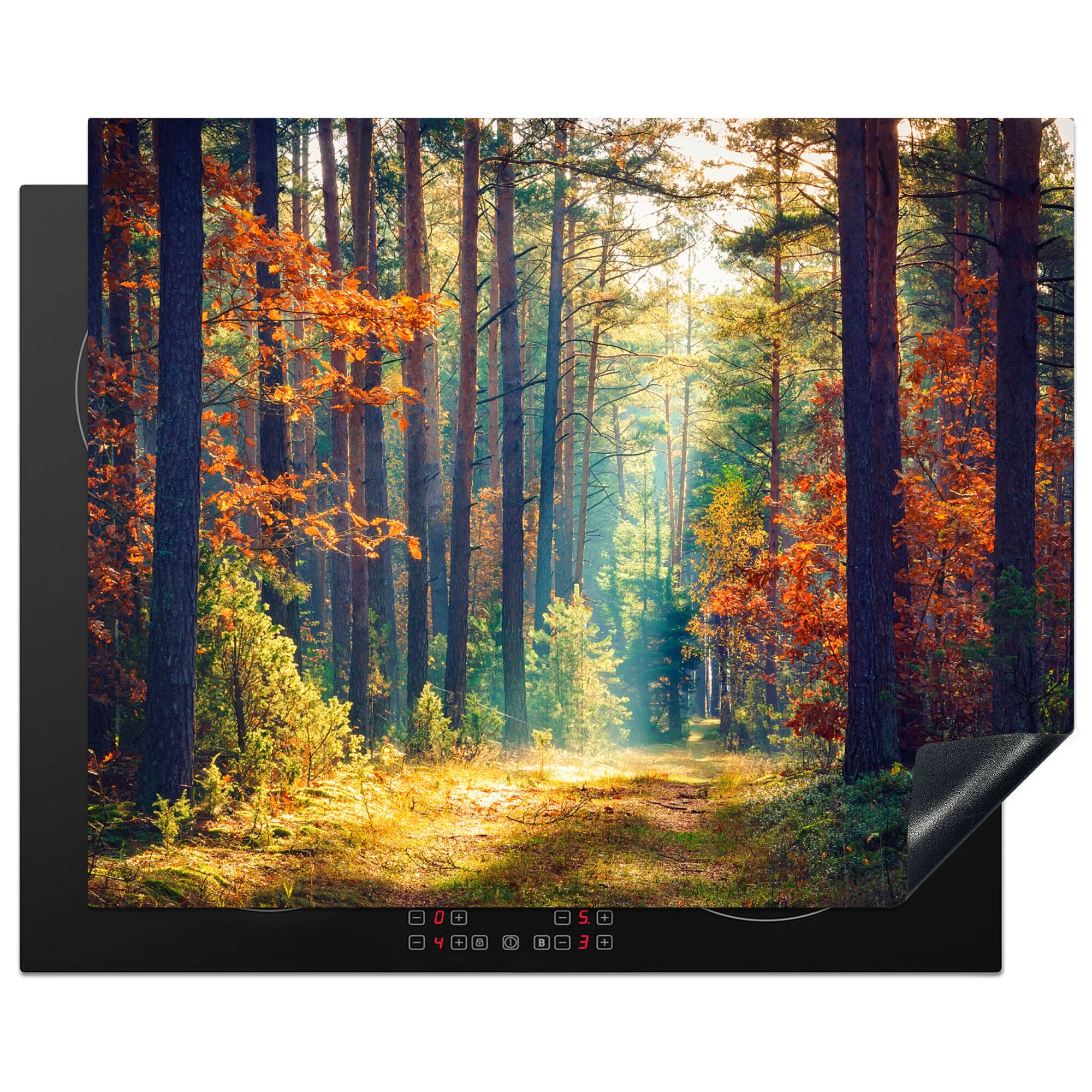 MuchoWow Herd-Abdeckplatte Wald – Sonne – Natur – Herbst, Vinyl, (1 tlg), Abdeckung Induktionskochfeld Schutzmatte, Küche Deko, 65x52 cm