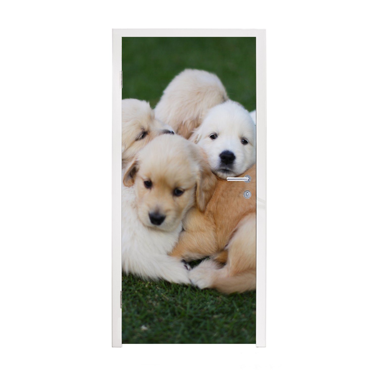 MuchoWow Türtapete Tiere - Welpen - Hunde, Matt, bedruckt, (1 St), Fototapete für Tür, Türaufkleber, 75x205 cm