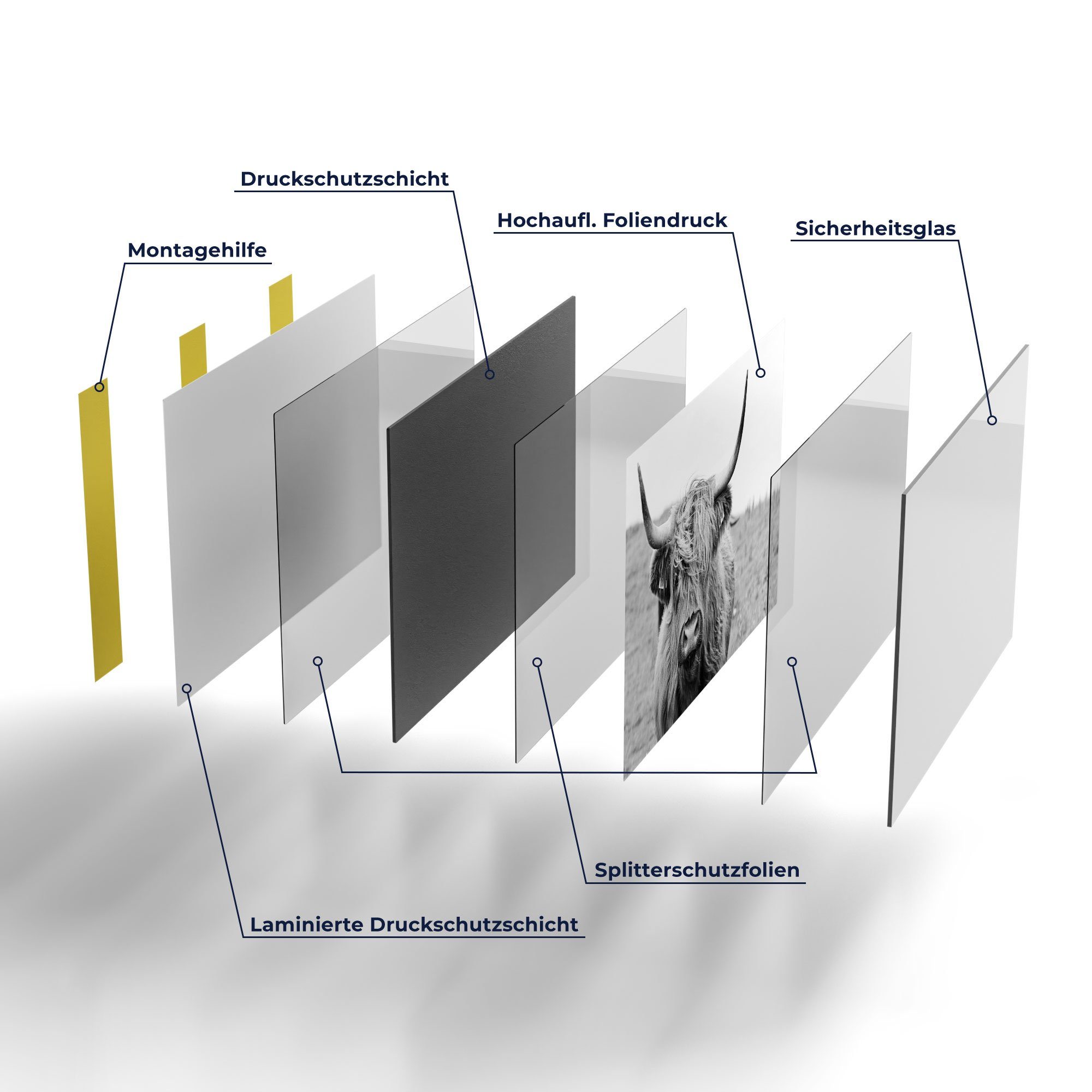 Hochlandrind', Badrückwand Küchenrückwand Spritzschutz Herdblende Glas 'Zotteliges DEQORI