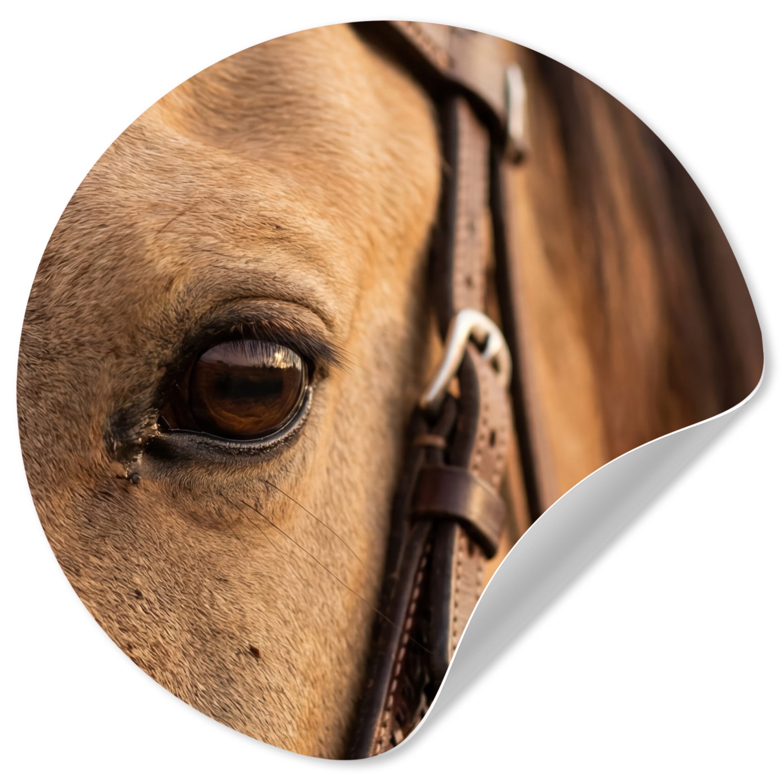 MuchoWow Wandsticker Pferd - Auge - Braun (1 St), Wandtattoo Selbstklebend, Wohnzimmer Deko Aufkleber, 30x30 cm