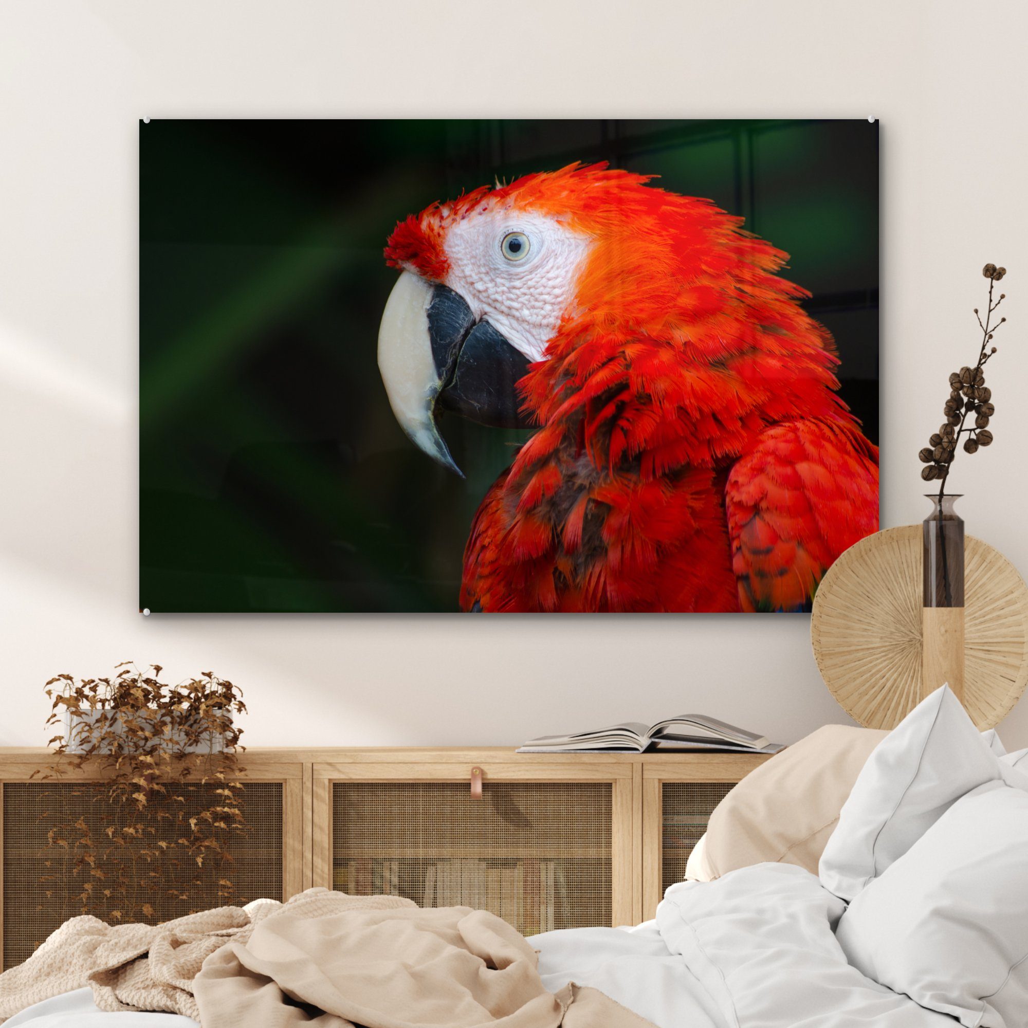 & Tiere Schlafzimmer Acrylglasbilder MuchoWow - Papagei, Wohnzimmer - (1 St), Vogel Acrylglasbild