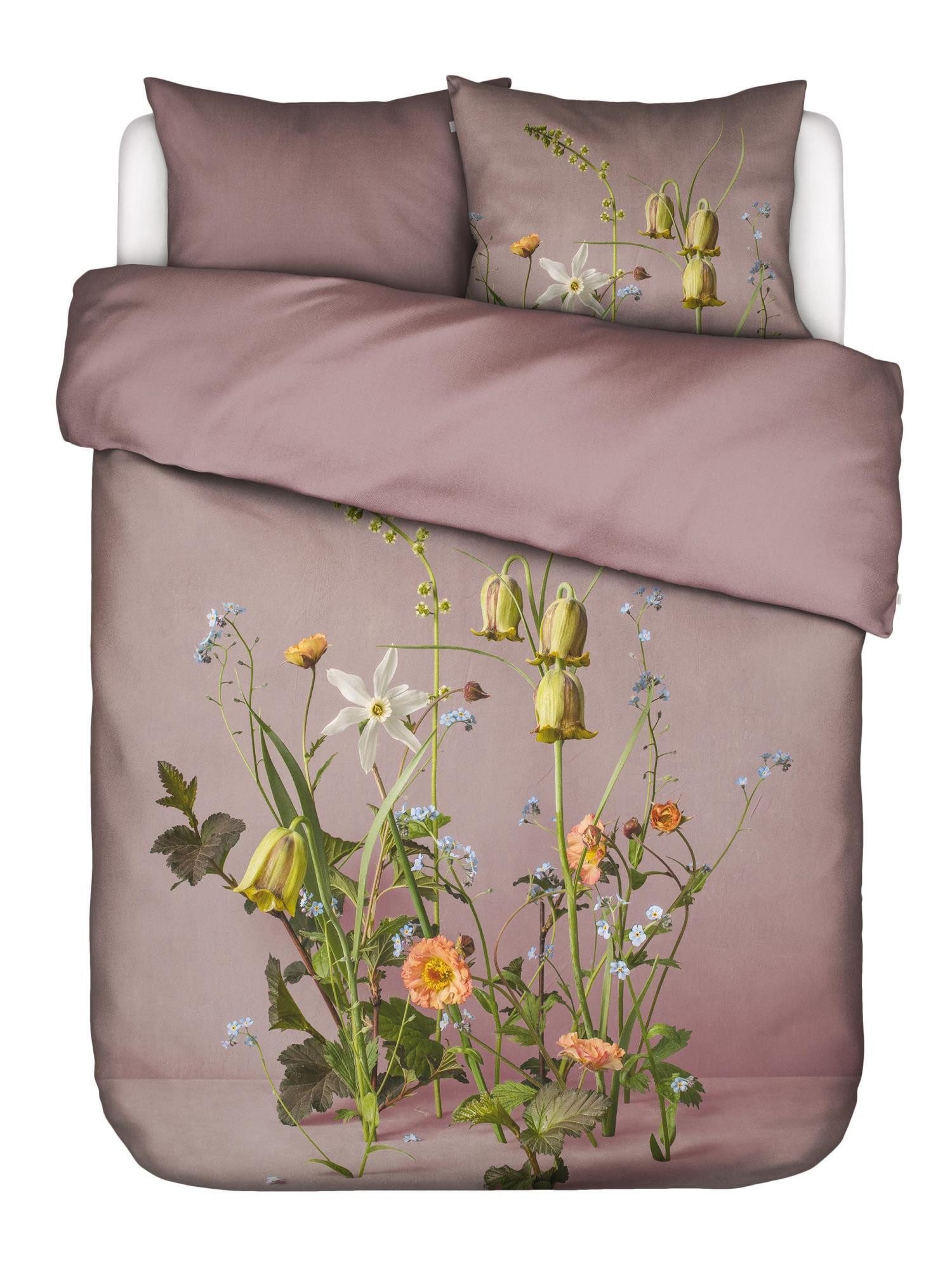 Essenza Bettwäsche Ficaria, Satin, 2 teilig, günstig online kaufen