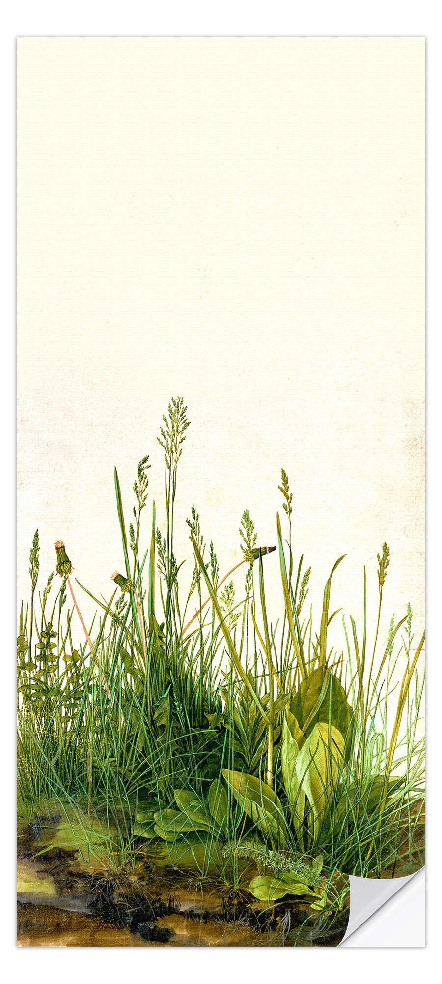 Wandfolie Albrecht Dürer