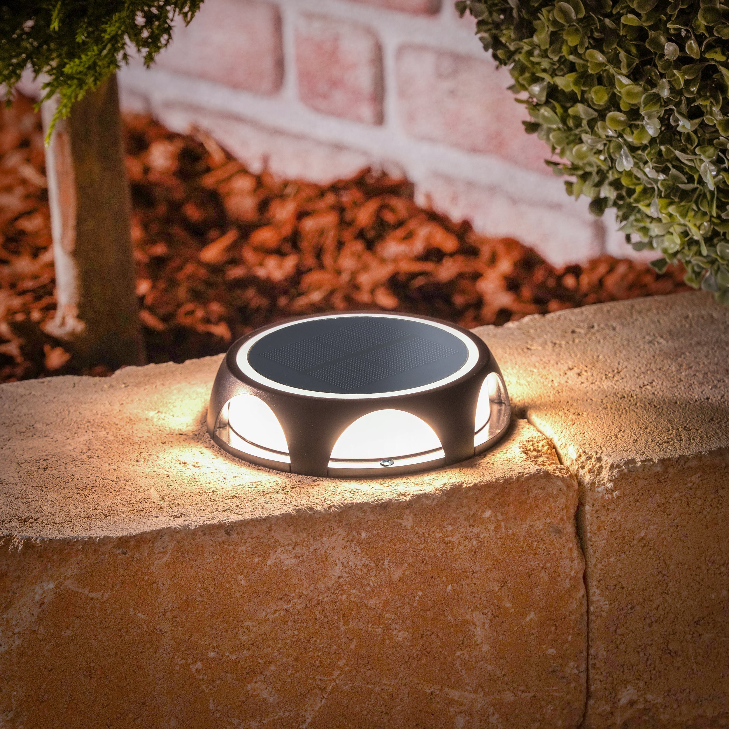 esotec LED Gartenleuchte Wand- und Wege-Solarleuchte IRIS, 3 Lichtstärken, ALU, outdoor, 102937, 3 unterschiedliche Lichtstärken wählbar, 7 Lichtfarben, Dauerlicht oder Farb-Wechsellicht, automatisches Einschalten bei Dämmerung, LED fest integriert, warmweiß