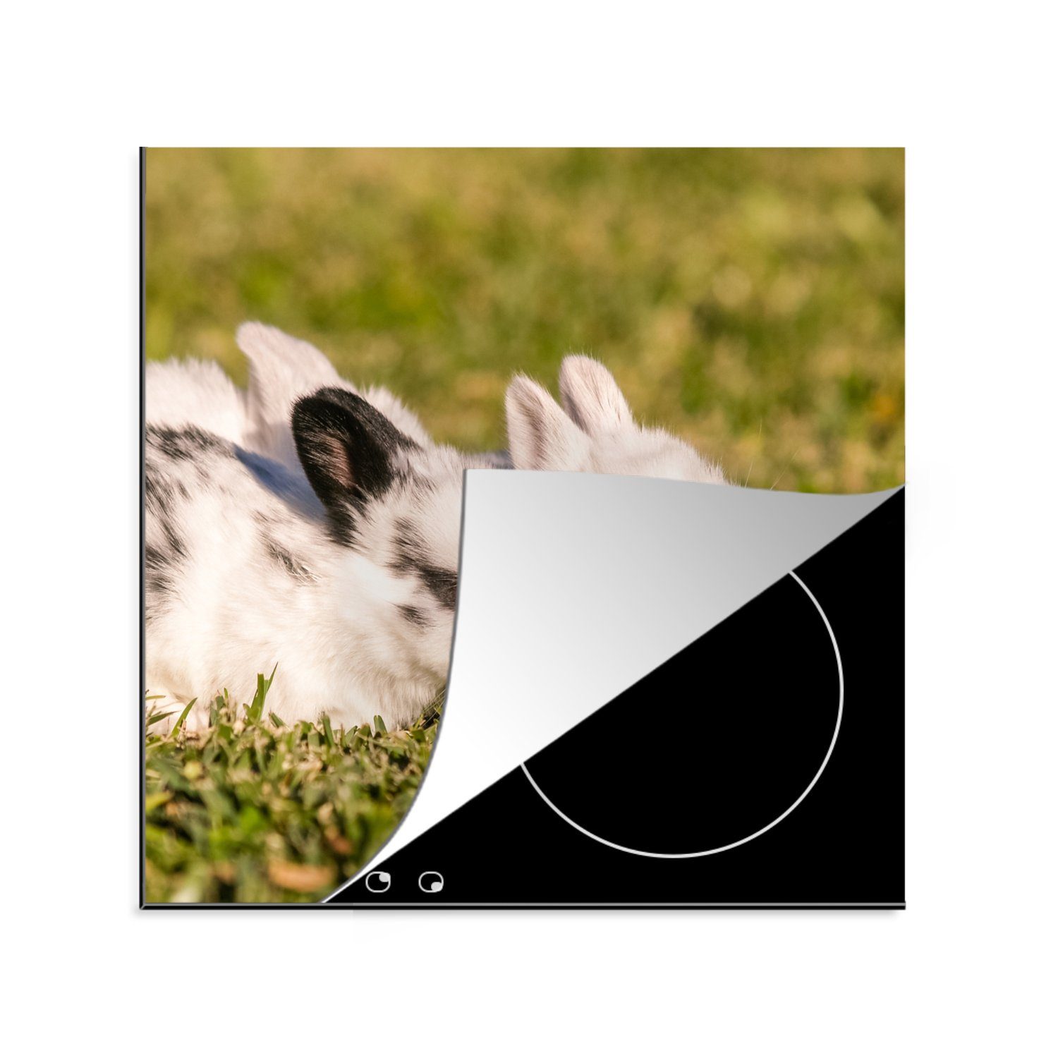 MuchoWow Herdblende-/Abdeckplatte Kaninchen - Baby - Feld, Vinyl, (1 tlg), 78x78 cm, Ceranfeldabdeckung, Arbeitsplatte für küche