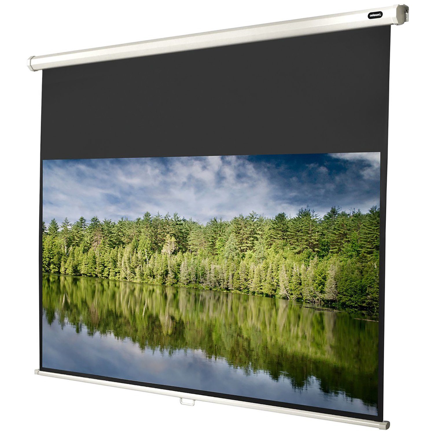 Celexon Economy Rolloleinwand (220 x 124cm, 16:9, Gain 1)