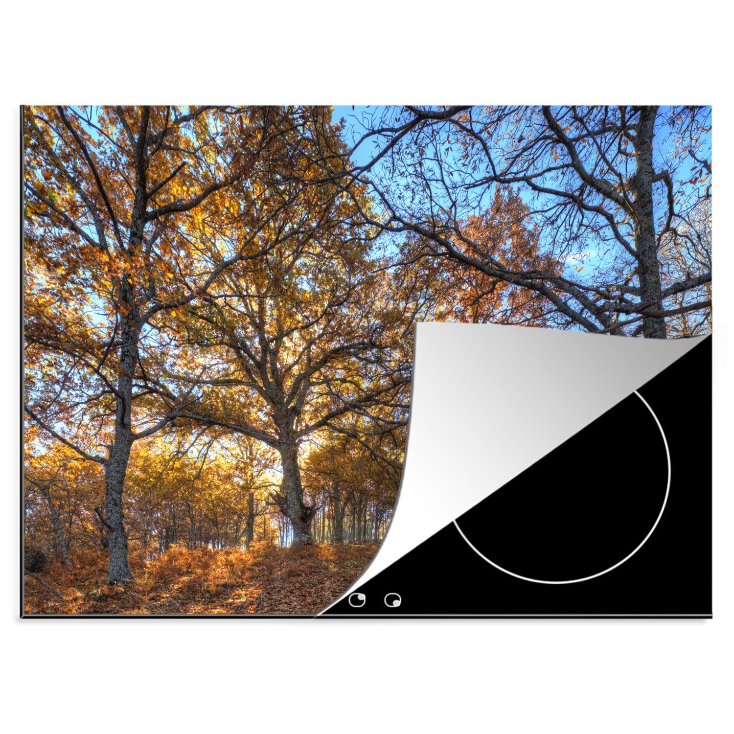 MuchoWow Herdblende-/Abdeckplatte Kastanienbäume in Madrid, Spanien, Vinyl, (1 tlg), 70x52 cm, Mobile Arbeitsfläche nutzbar, Ceranfeldabdeckung