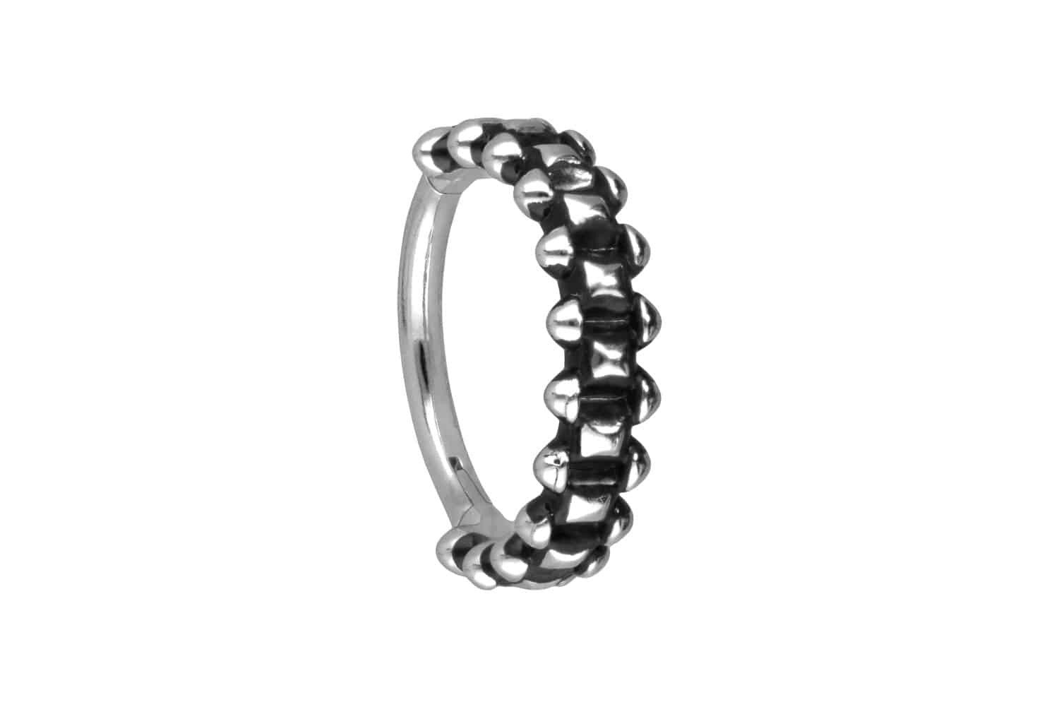 Piercing-Set Chirurgenstahl Segmentring Clicker NIETENDESIGN