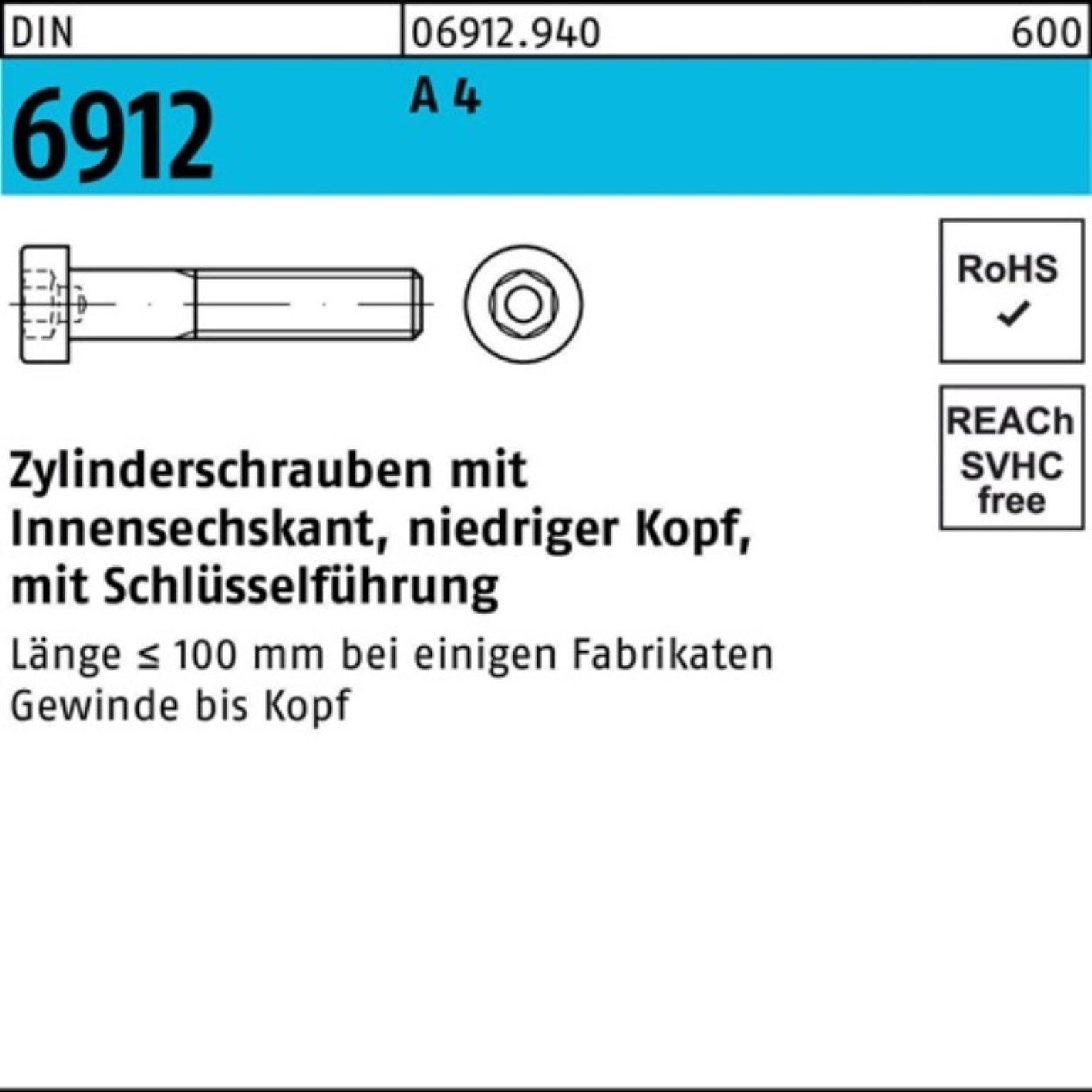 A Zylinderschraube Reyher Innen-6kt 4 DIN Zylinderschraube Pack Stück 50 6912 100er 100 M10x