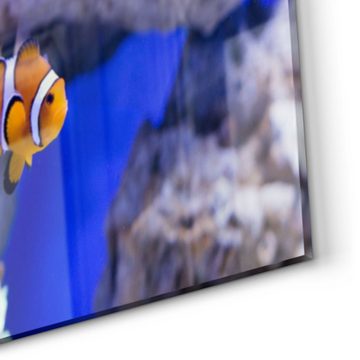 DEQORI Küchenrückwand 'Clownfisch im Meer', Glas Spritzschutz Badrückwand Herdblende