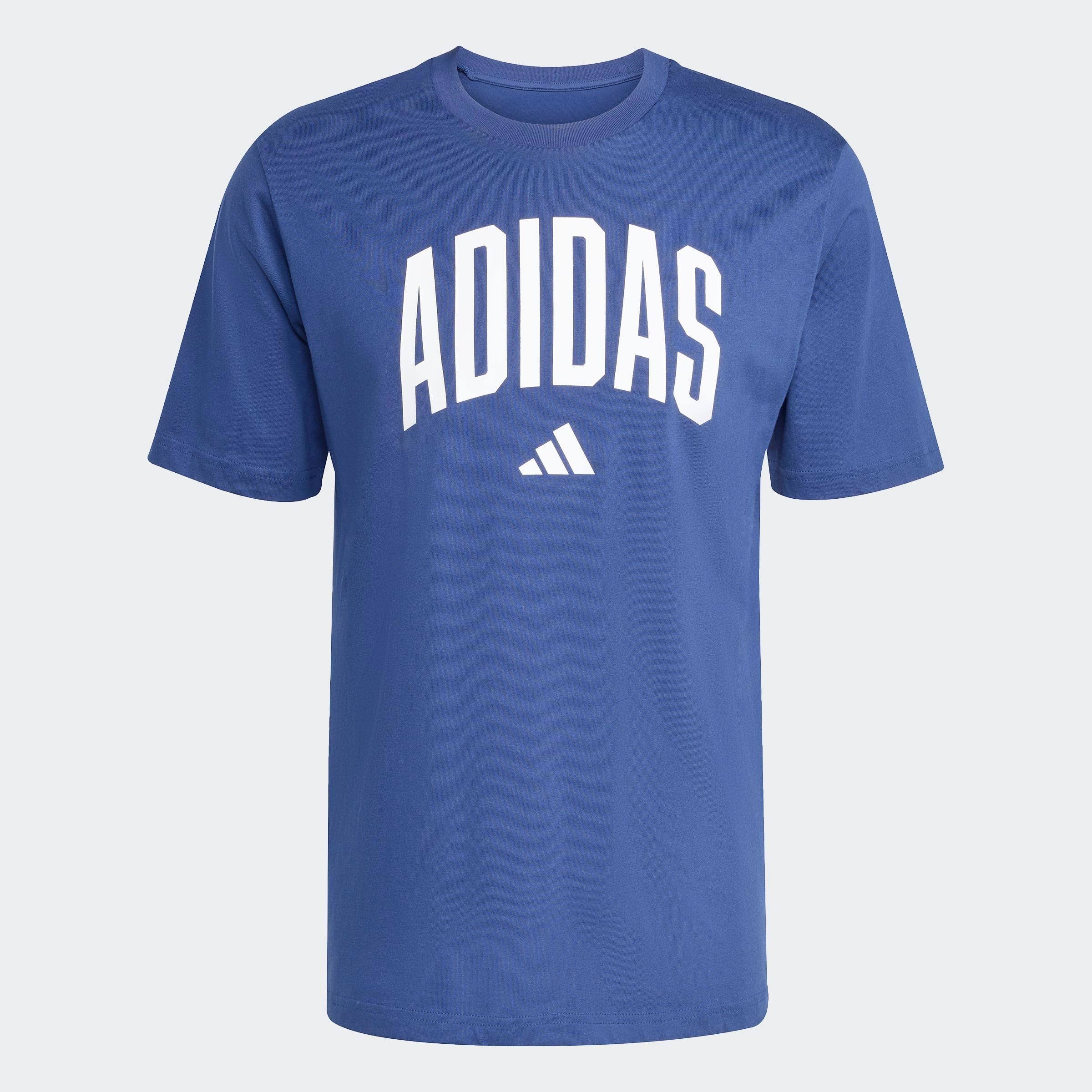 T-Shirt COLLEGIATE LINEAGE GRAPHIC