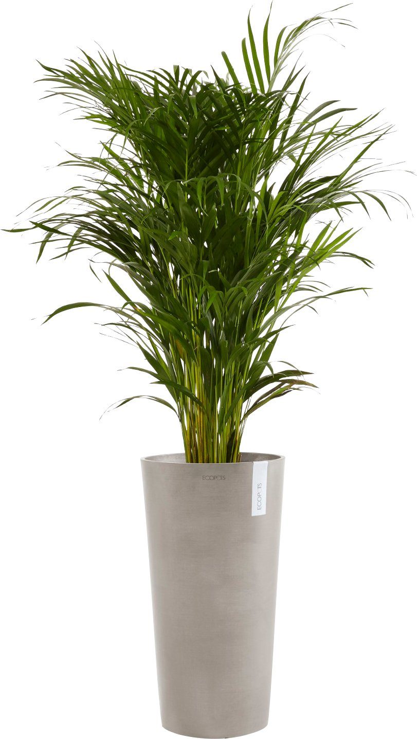 BxTxH: MID Taupe, Blumentopf AMSTERDAM cm HIGH ECOPOTS 34x34x66