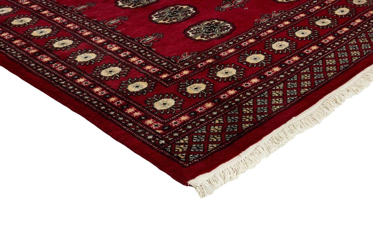 Höhe: Pakistan Orientteppich, Orientteppich rechteckig, 167x247 mm 8 Nain 2ply Handgeknüpfter Buchara Trading,
