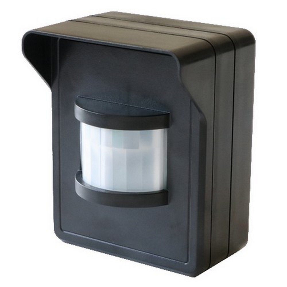 DIW-Funk Licht-Funksteuerung PD-540 DIW-FUNK Bewegungsmelder IP44 mit Empfänger, für Flur, Treppenhaus, Garage, Tor, Anwesenheitssimulation, Steuerung von Lampen und Elektrogeräten im Innen- und Außenbereich, 1 Schaltkontakte, Spar-Set, 2-tlg., Komplett-Set, Helligkeitssensor (Tag/Nacht einstellbar)