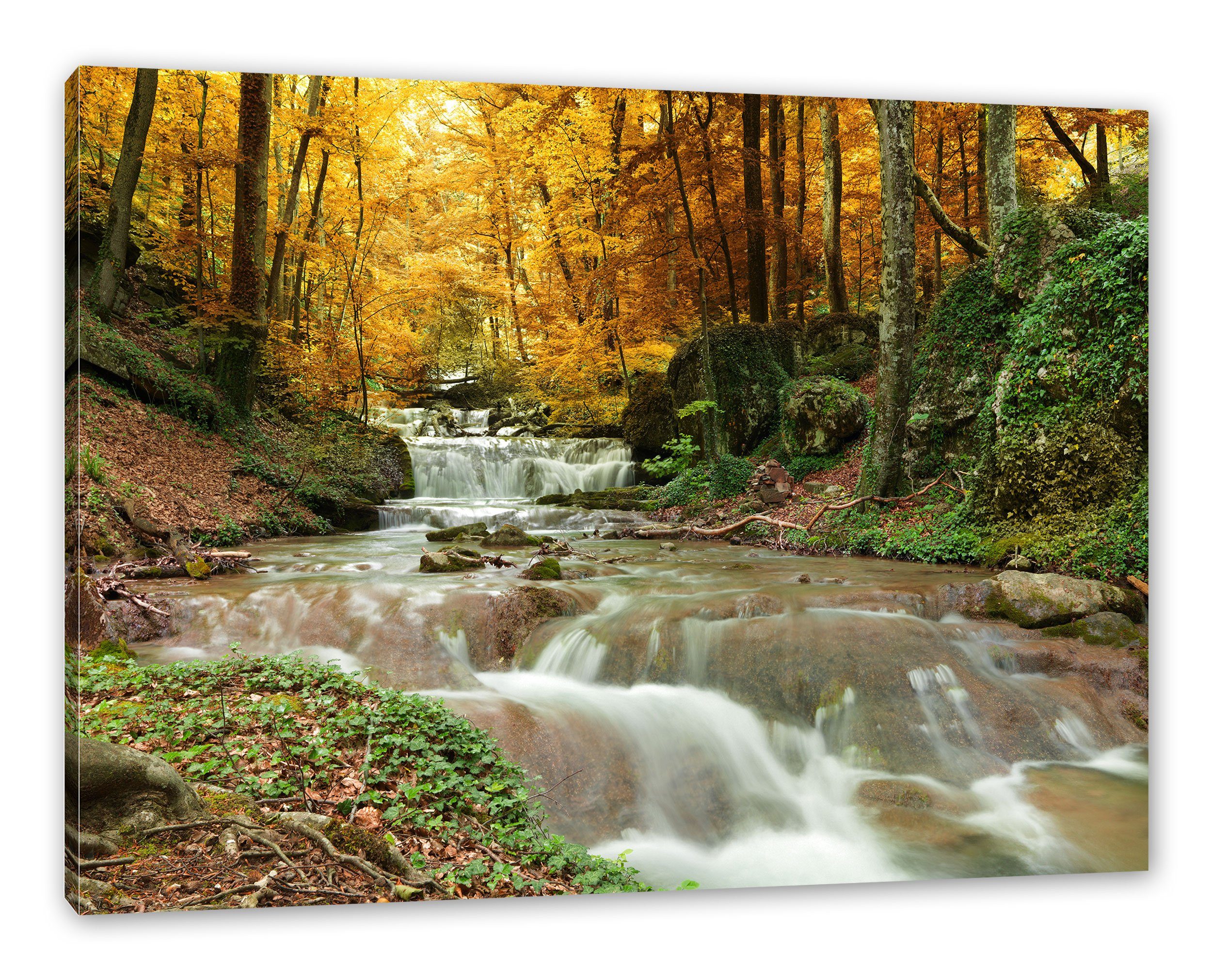 Leinwandbild Leinwandbild Waldbach fertig im Pixxprint Herbst, inkl. (1 Waldbach St), bespannt, Herbst Zackenaufhänger im