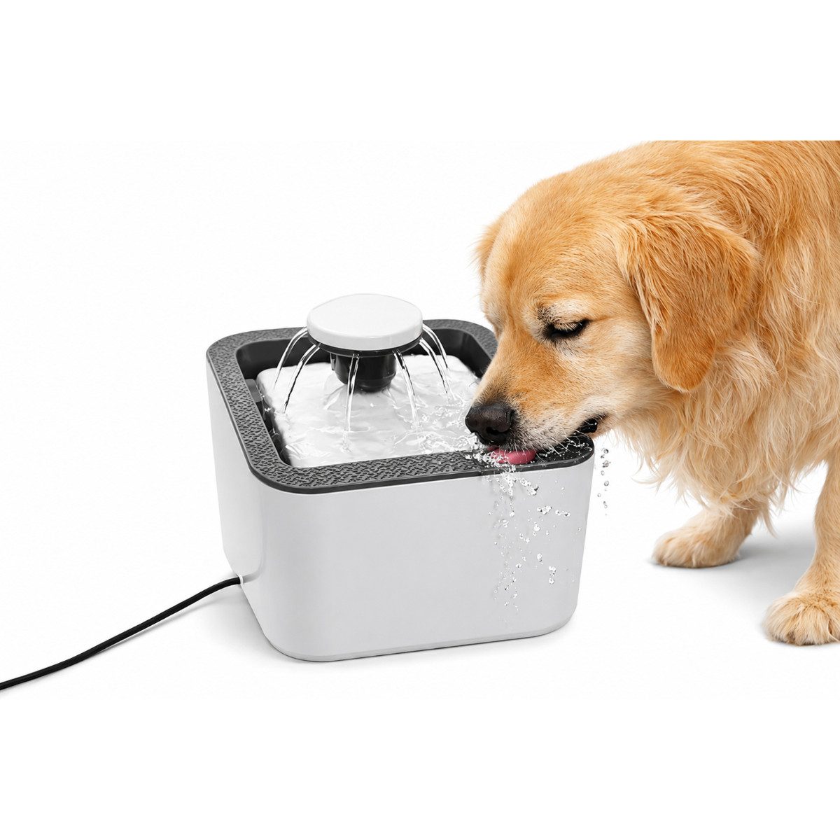 R2 Invest Trinkbrunnen Automatischer Trinkbrunnen für Hunde und Katzen mit Wasserzirkulation
