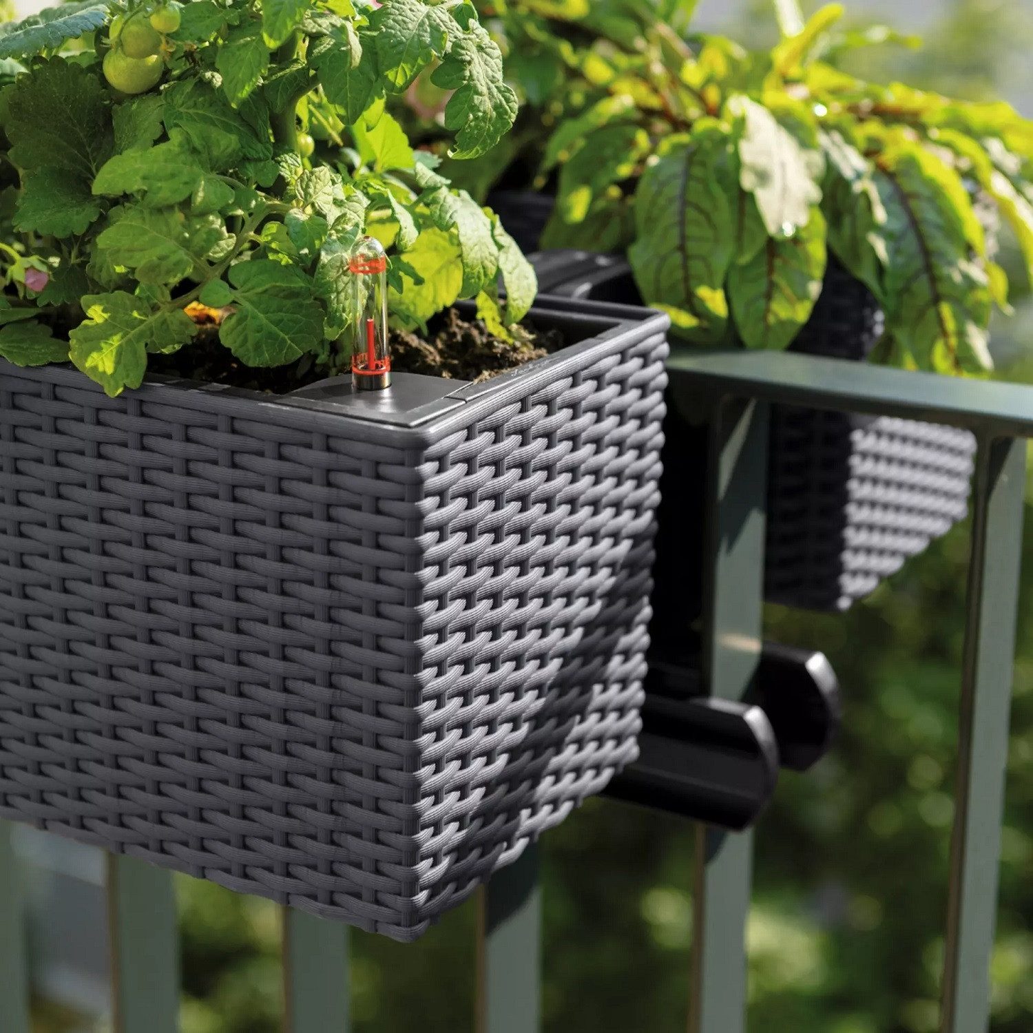 Lechuza® Balkonkasten Balconera Cottage 100 granit günstig online kaufen