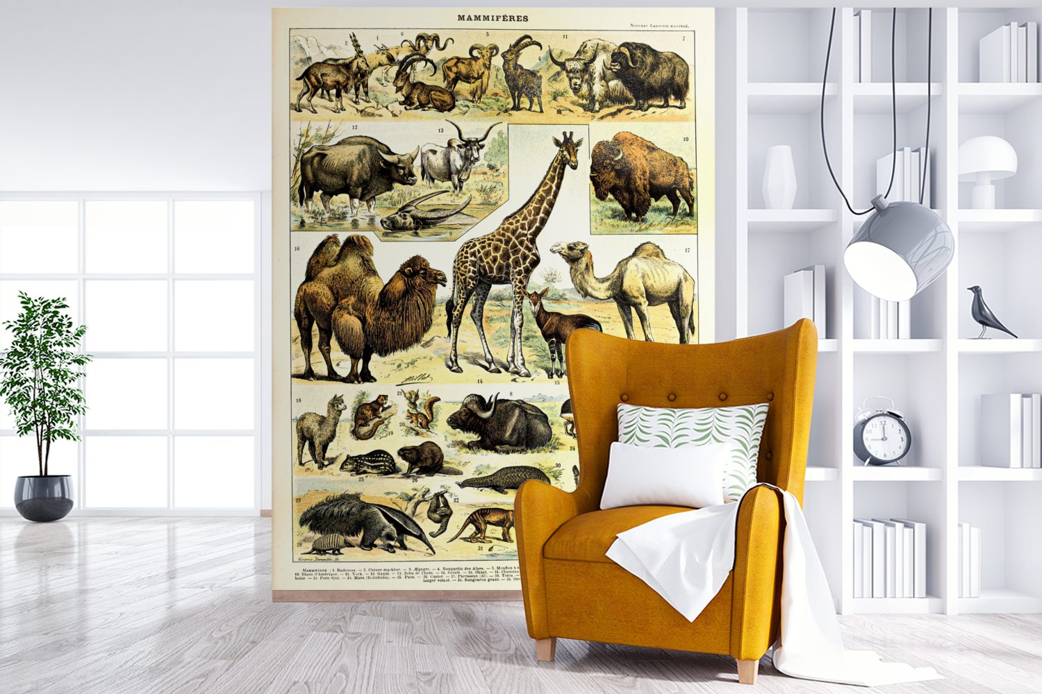 MuchoWow Fototapete Tiere - Matt, Tapete Wohnzimmer, (4 bedruckt, St), - für Giraffe Wandtapete Vinyl Montagefertig Kamel