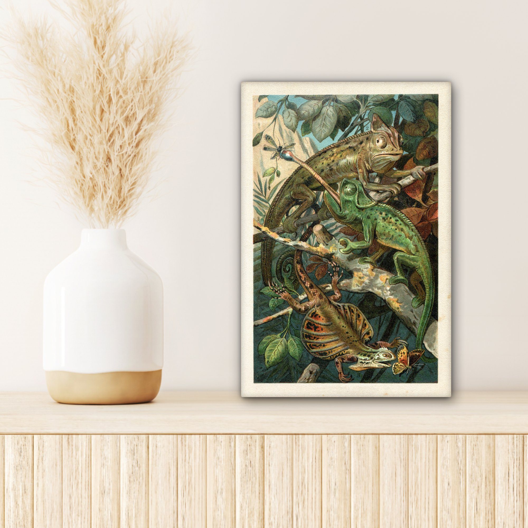 Zackenaufhänger, Reptilien cm (1 Pflanzen, inkl. Gemälde, OneMillionCanvasses® 20x30 Vintage bespannt - - Leinwandbild fertig Leinwandbild St),