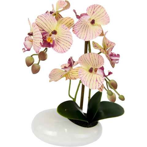 Kunstpflanze Phalaenopsis in Schale, I.GE.A., Höhe 28 cm