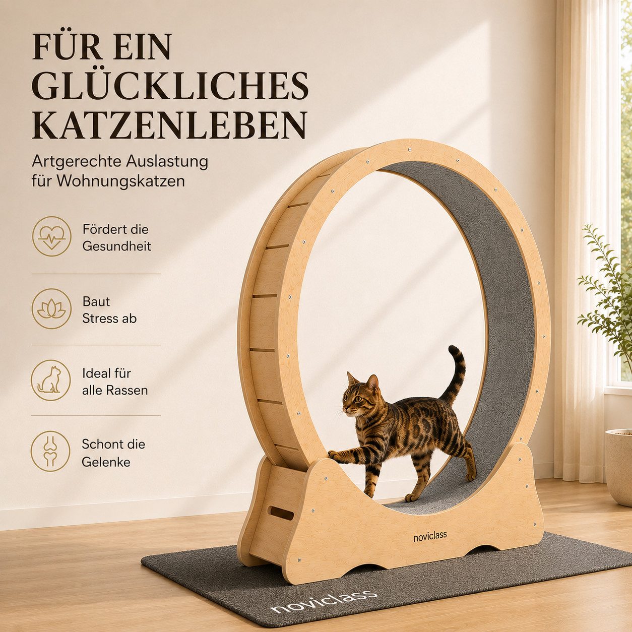 noviclass Tierlaufrad Katzenlaufrad 'Baghira' XXL Groß 120cm Innendurchmesser
