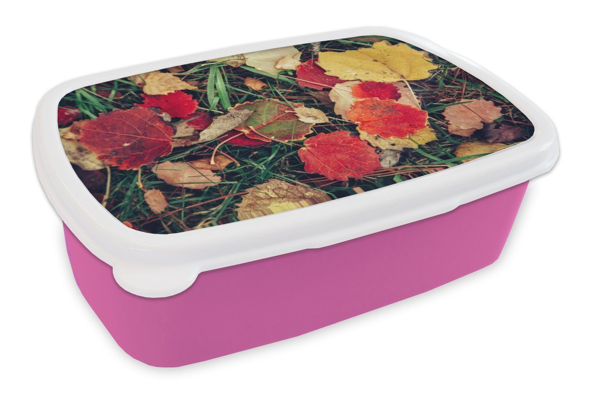 - Brotdose Kunststoff, Brotbox Kunststoff Herbst November - für Natur, Lunchbox Snackbox, (2-tlg), Blätter Mädchen, MuchoWow rosa Kinder, Erwachsene, -