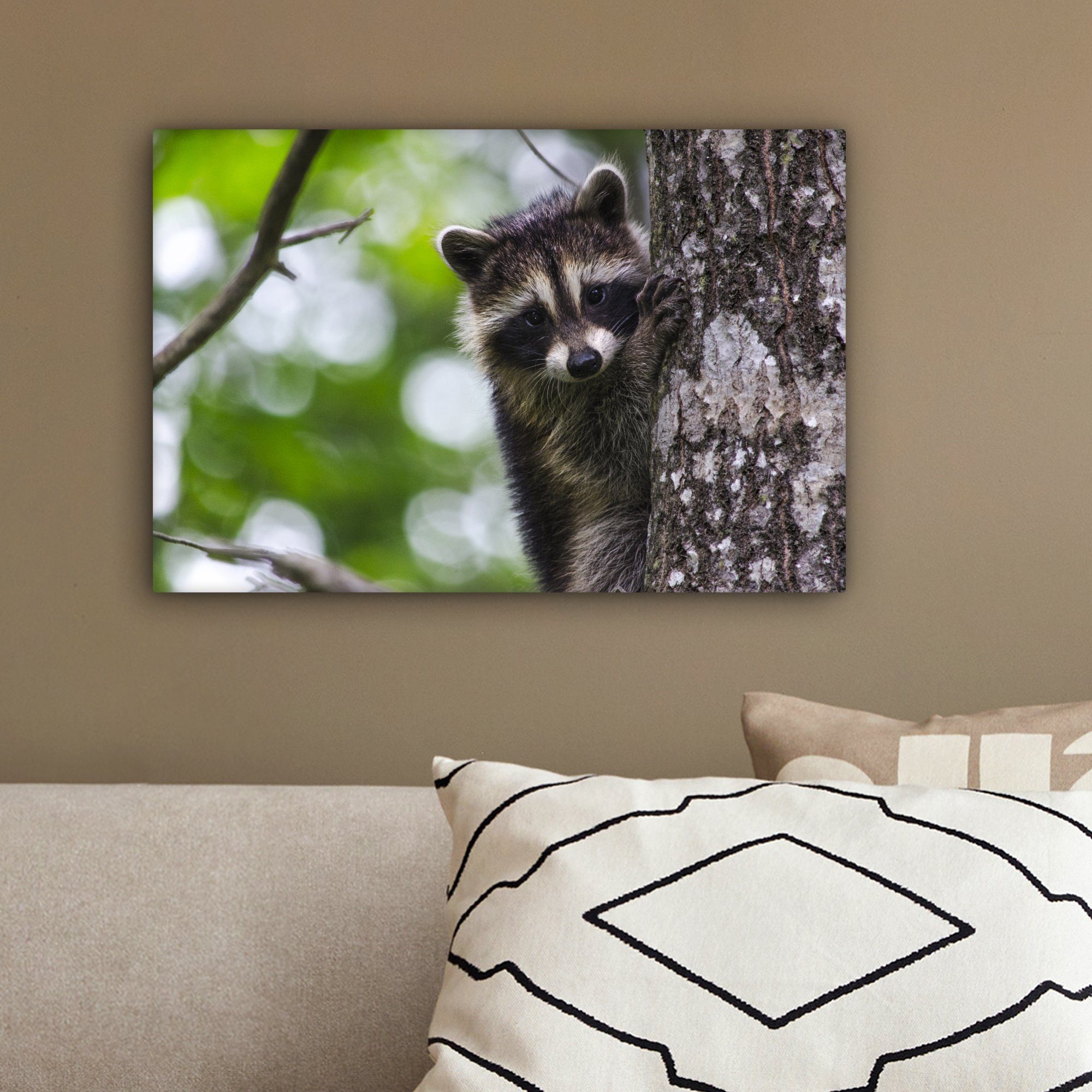 - OneMillionCanvasses® Baum, Wandbild Leinwandbild 30x20 Waschbär - Baby cm St), Aufhängefertig, Leinwandbilder, (1 Wanddeko,