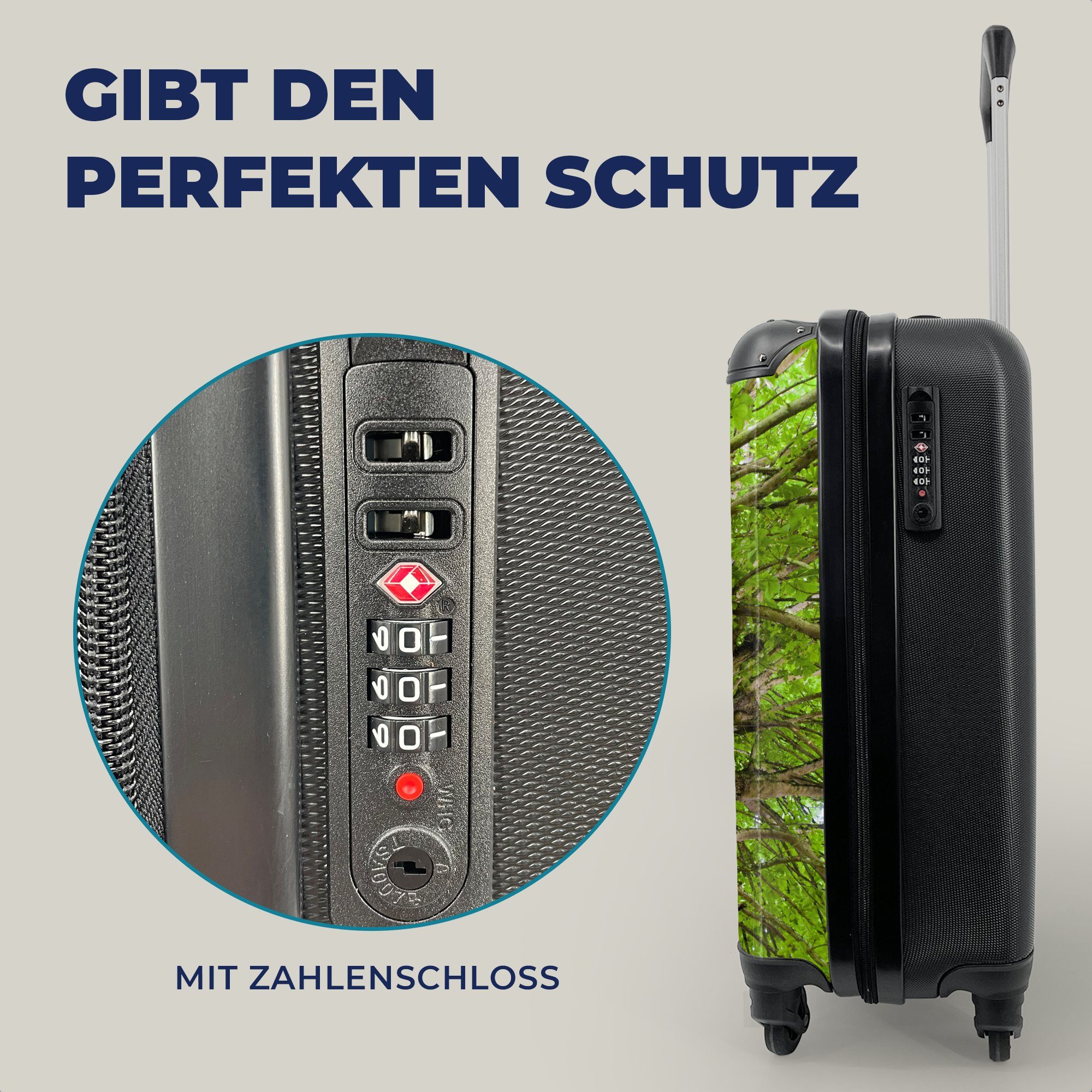 Handgepäckkoffer für Ein Sommer, im Handgepäck Reisetasche Kastanienbaum rollen, 4 Trolley, Reisekoffer Rollen, Ferien, mit MuchoWow