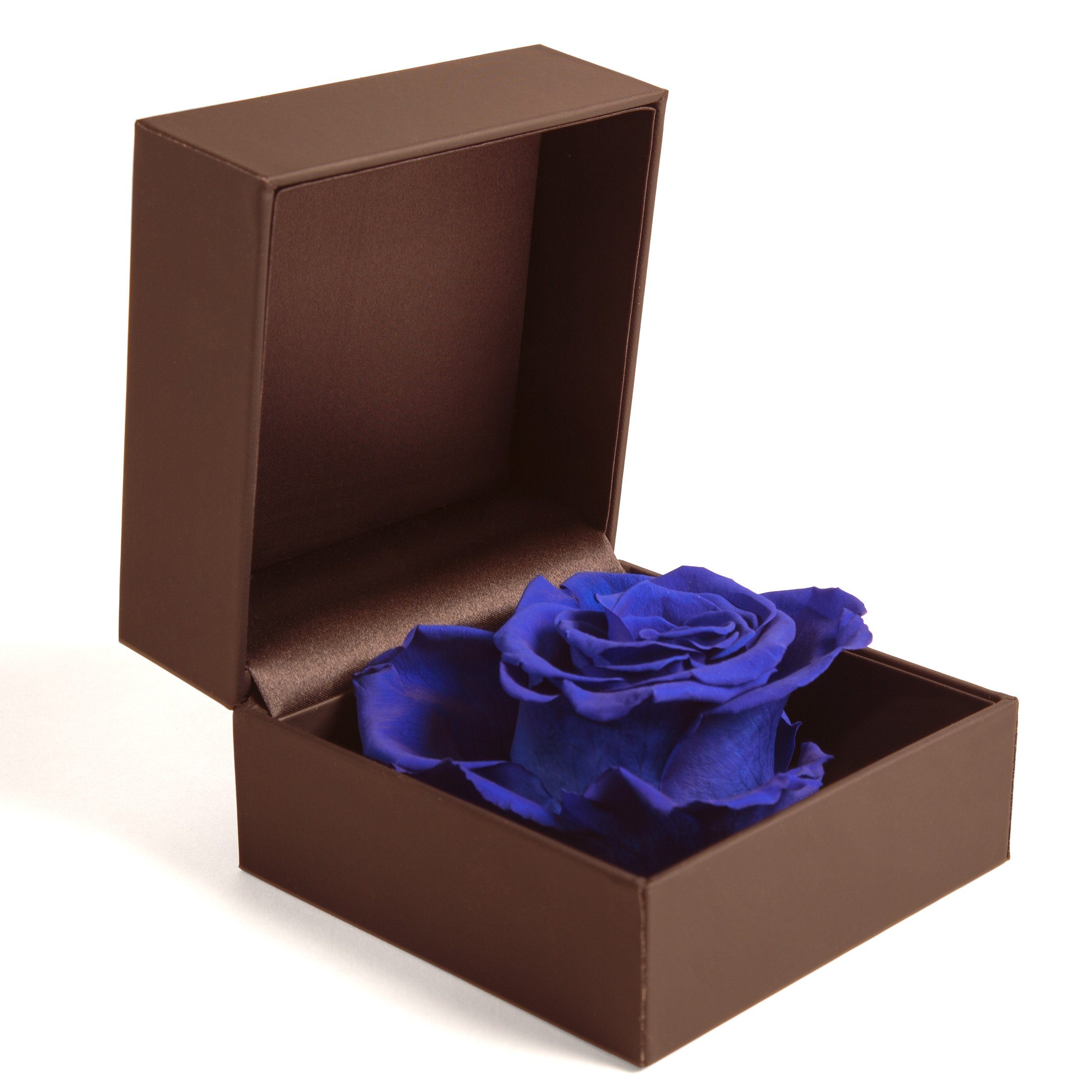 Kunstblume Rosenbox Ringbox konserviert SCHULZ Langlebige cm, Ringdose Blau Heidelberg, Rose Box 9 in Rose, Groß Höhe Infinity Rose ROSEMARIE