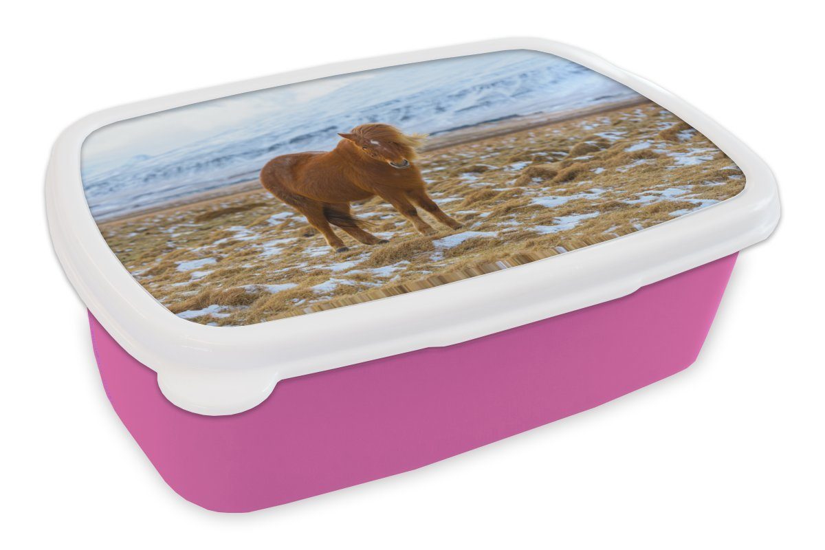 MuchoWow Lunchbox Porträt eines Islandpferdes im Winter, Kunststoff, (2-tlg), Brotbox für Erwachsene, Brotdose Kinder, Snackbox, Mädchen, Kunststoff rosa