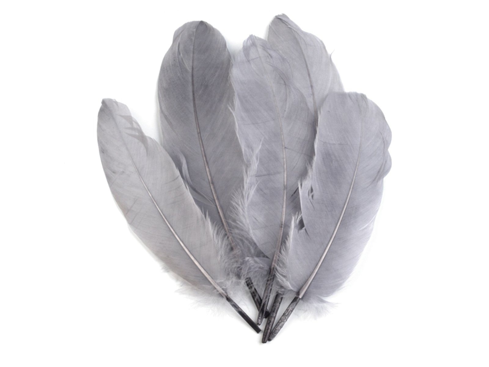 maDDma Bastelfedern 20 Enten-Federn 15-21cm Bastelfedern Federn f. Basteln Dekoration, (1 Packung 1-tlg), taubengrau
