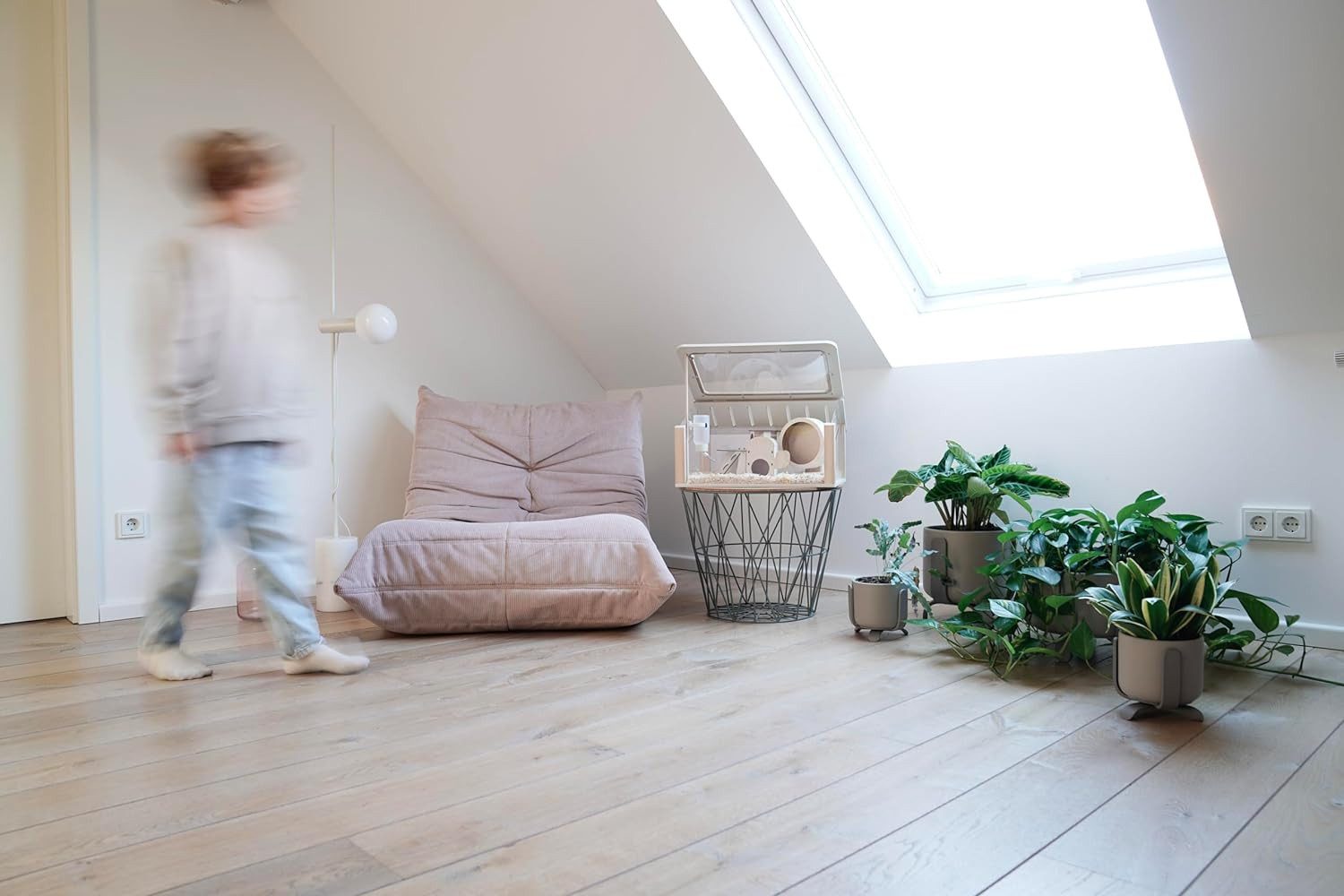 Roodz Kleintierkäfig Designer-Hamsterkäfig-Set – Holz & Acryl, inkl. Zubehör, 5-teilig