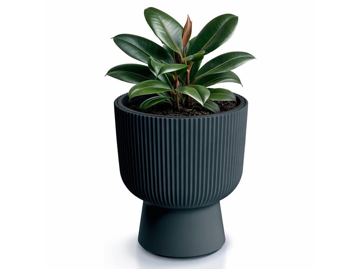 Prosperplast Blumentopf Milly Round, inkl. Pflanzeinsatz, 23,9 x 30,5 cm