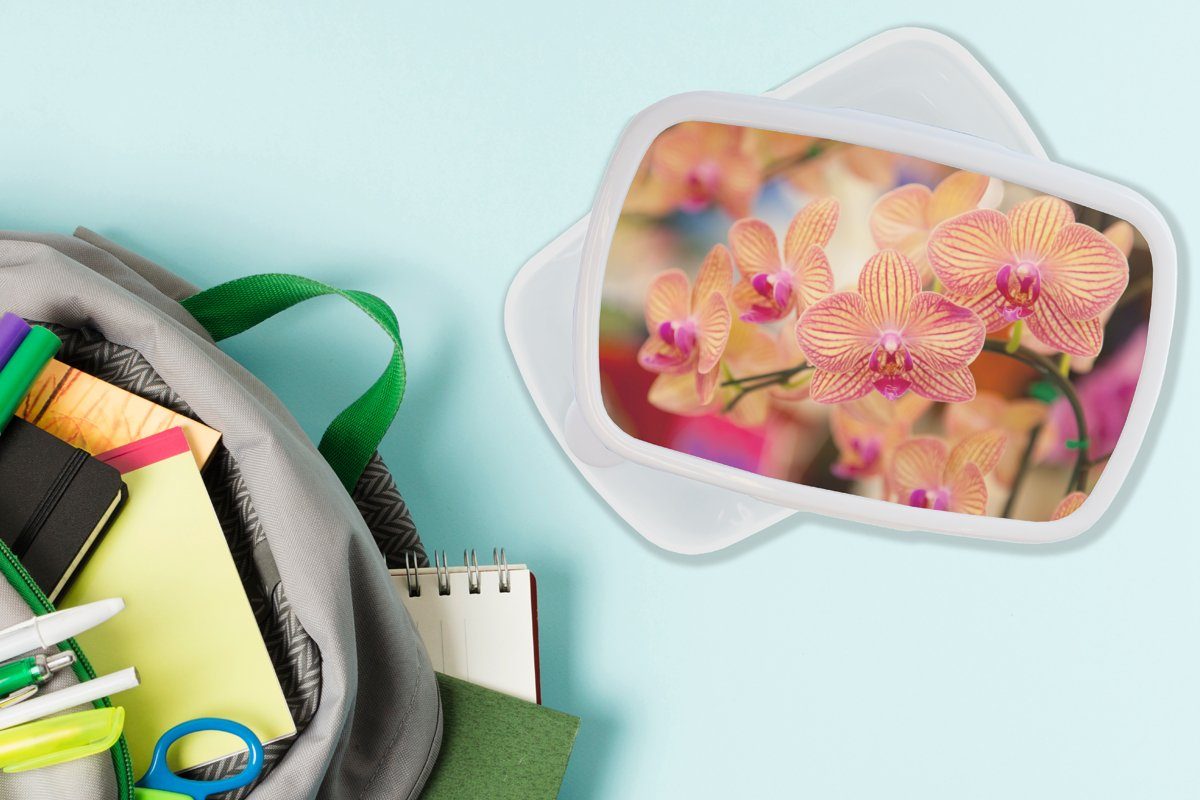 Blumen Rosa - - und Kunststoff, Jungs MuchoWow Pflanze Brotdose, für Kinder Mädchen für Flora, Erwachsene, Lunchbox Orchidee weiß und Brotbox (2-tlg), - -