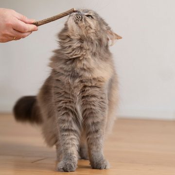KaraLuna Tier-Beschäftigungsspielzeug 8 Katzensticks / Matatabi Sticks I Katzenspielzeug Catnip, Natürliches Katzenspielzeug und Zahnpflege für Katzen