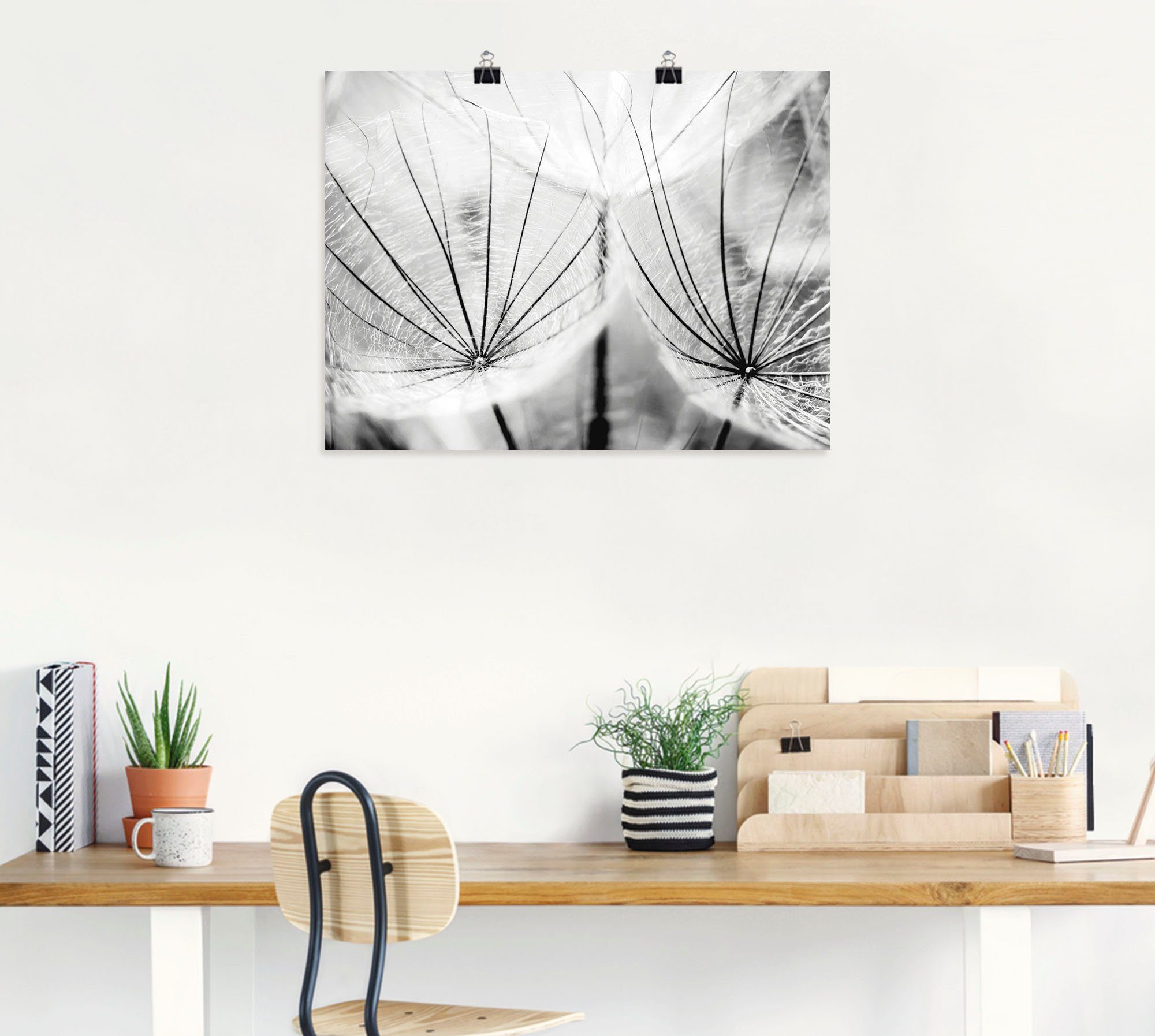 Pusteblume oder (1 St), als schwarzweiß, Leinwandbild, Artland versch. Wandbild in Größen Wandaufkleber Blumen Poster Alubild, in