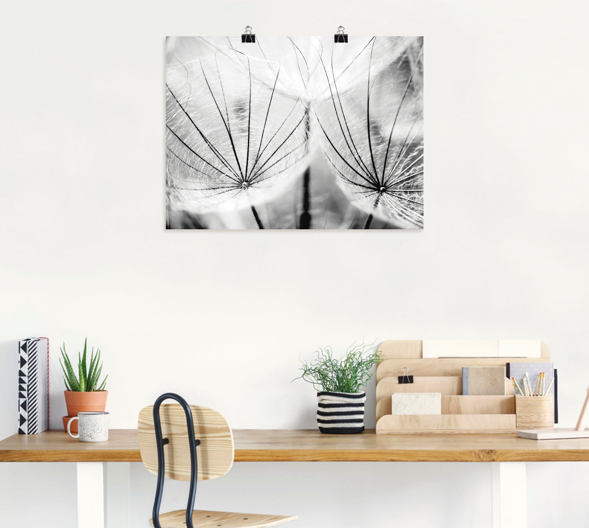 Artland Wandbild Pusteblume in schwarzweiß, Blumen (1 St), als Leinwandbild, Poster in verschied. Größen
