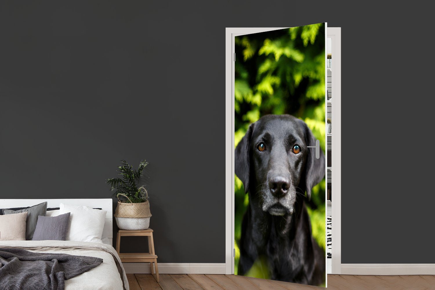 schwarzer Tür, 75x205 der für St), Türtapete Türaufkleber, bedruckt, inmitten Labrador Fototapete Retriever cm Matt, grünen (1 Ein MuchoWow Blätter,