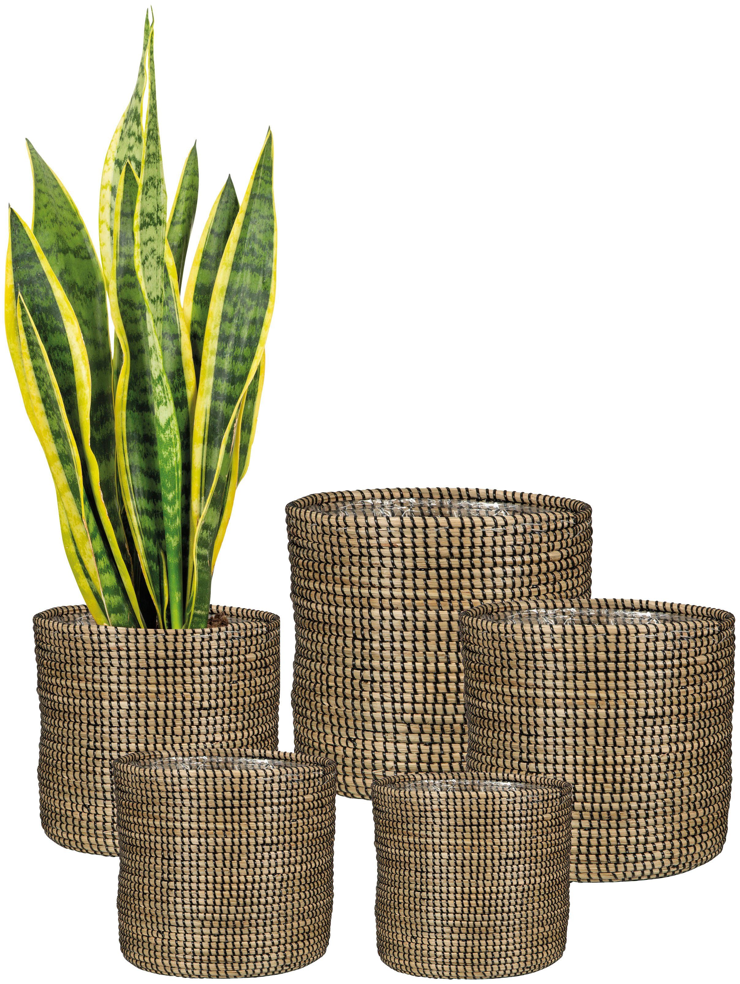 Scheurich Blumentopf black 32/513