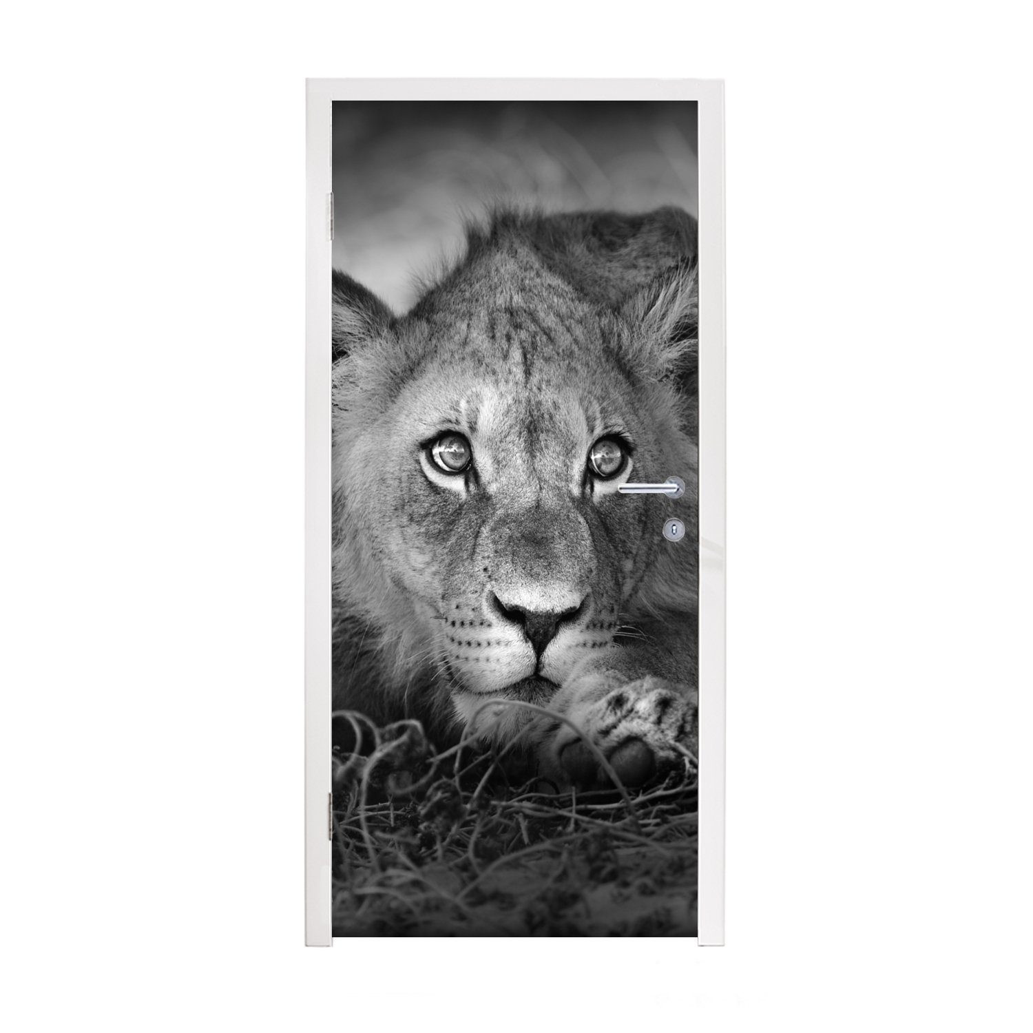 - Wildtiere Weiß, - Tür, Natur Fototapete bedruckt, Schwarz Löwe MuchoWow für St), Matt, (1 - Türaufkleber, Türtapete 75x205 - cm