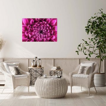 wandmotiv24 Leinwandbild Blume Blüte rosa Chrysantheme, Blumen und Pflanzen (1 St), Wandbild, Wanddeko, Leinwandbilder in versch. Größen
