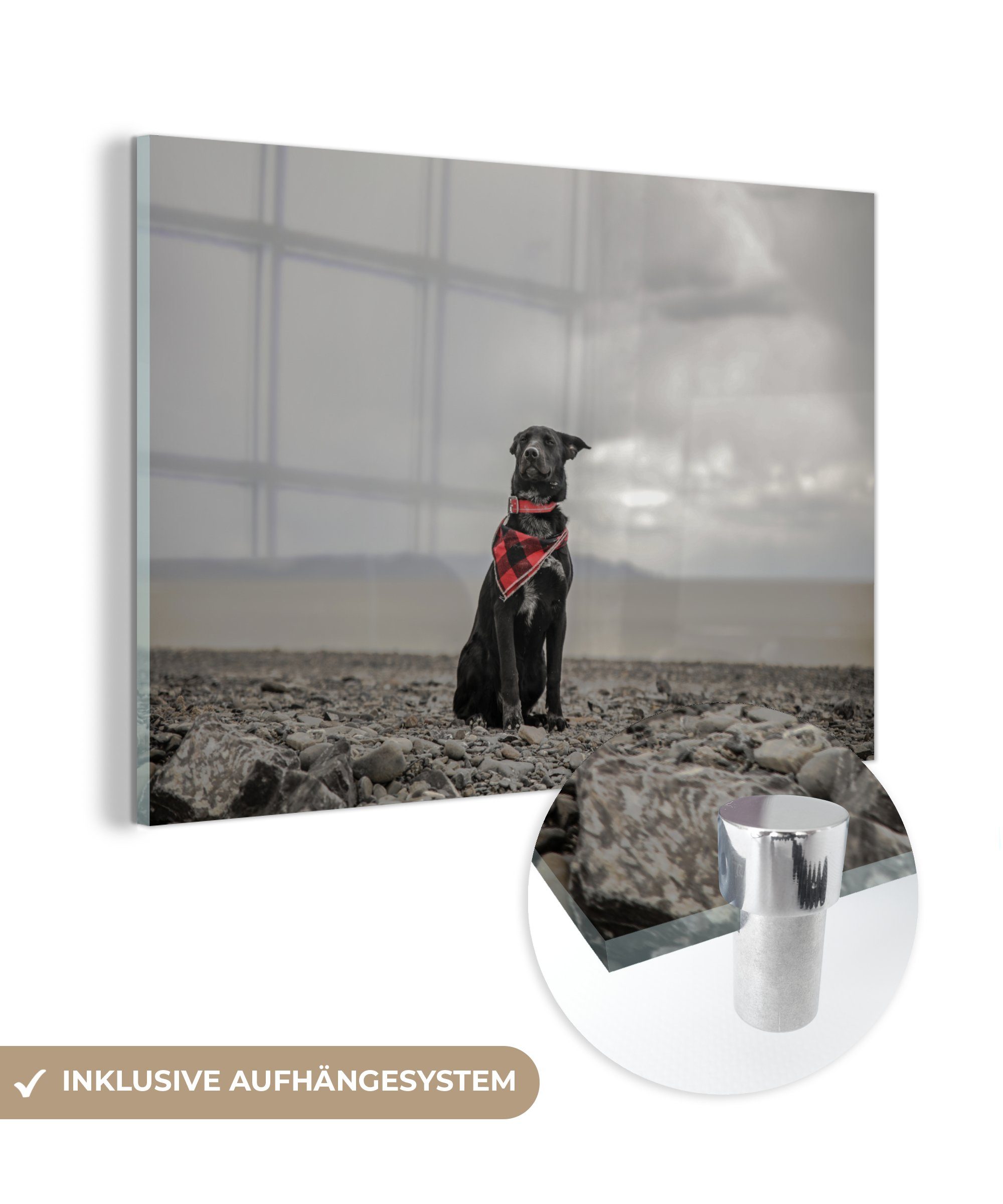 MuchoWow Acrylglasbild Hund - Strand - Wolke, (1 St), Acrylglasbilder Wohnzimmer & Schlafzimmer | Bilder