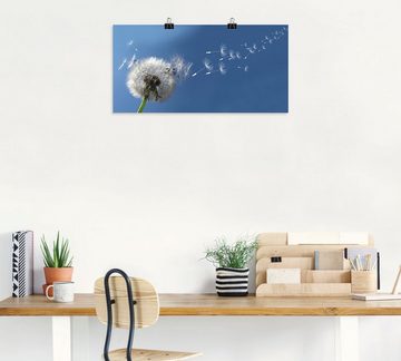 Artland Wandbild Pusteblume, Blumen (1 St), als Alubild, Outdoorbild, Leinwandbild, Poster in verschied. Größen