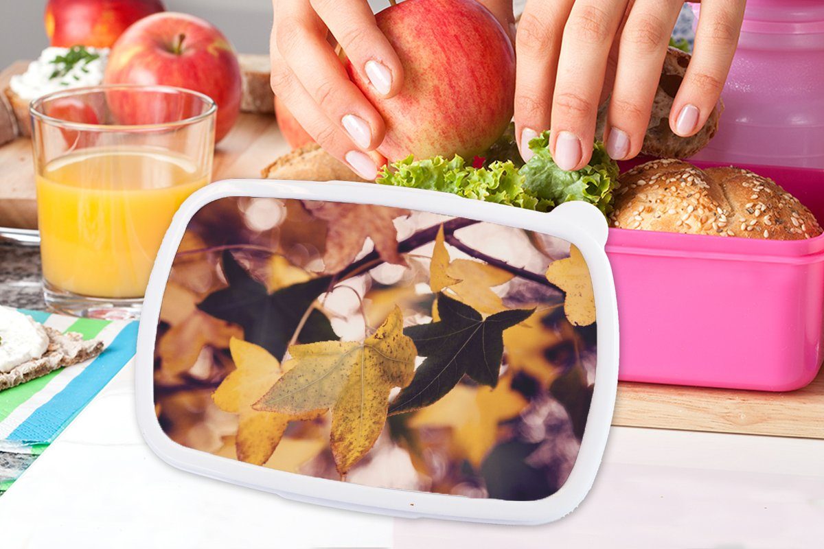 - MuchoWow - Kunststoff Kunststoff, Herbst Mädchen, (2-tlg), Lunchbox Brotdose Erwachsene, Brotbox Snackbox, für Ahorn rosa Blätter Jahreszeiten, - Kinder,