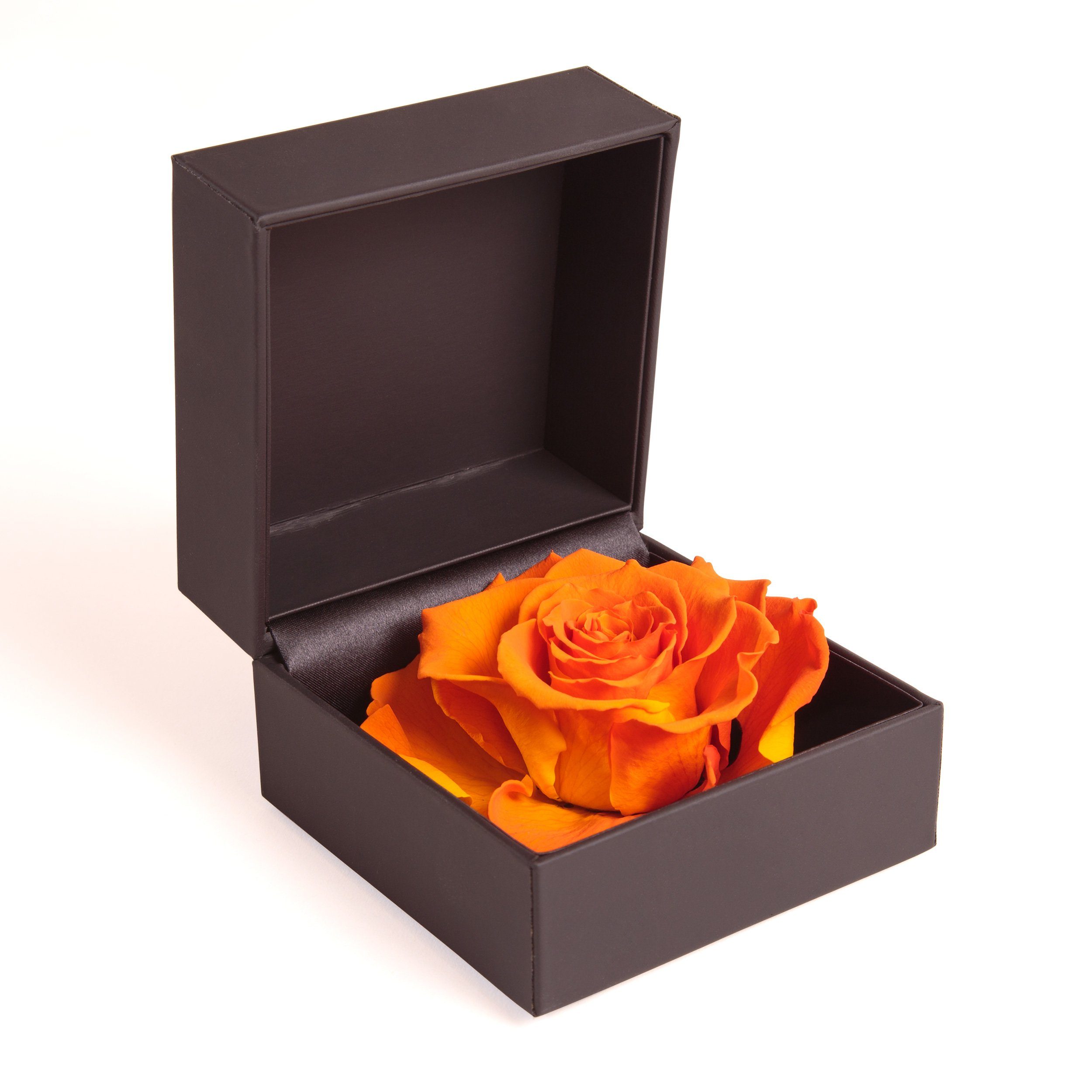 cm, Rose Ringdose in konserviert Höhe Rose, Rose ROSEMARIE Heidelberg, 9 Orange Langlebige Infinity SCHULZ Box Rosenbox Kunstblume Ringbox Groß